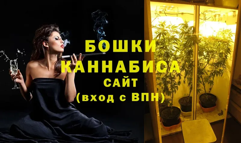 Бошки марихуана Amnesia  что такое наркотик  omg вход  Анапа 